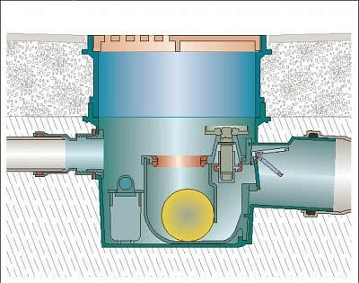 Wpusty piwniczne