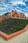 Skarpy otaczające budynki